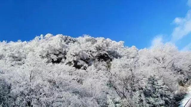 打开知识星球平台分手之后发现自己怀孕了你会作何处理?,探索无限知识之旅